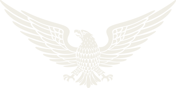 Stylized white eagle with outstretched wings on a black background.