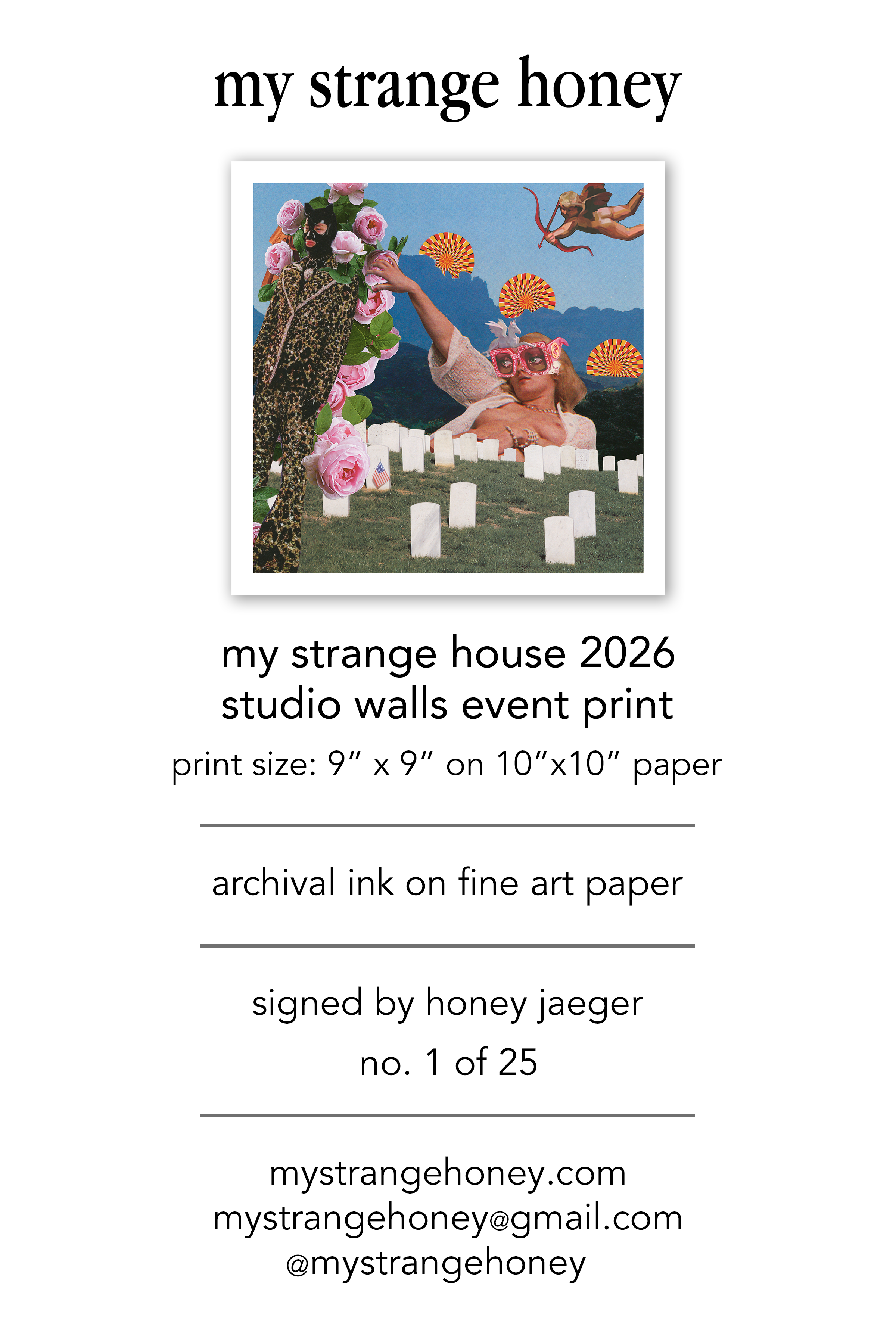 Insert for prints mshouse.png