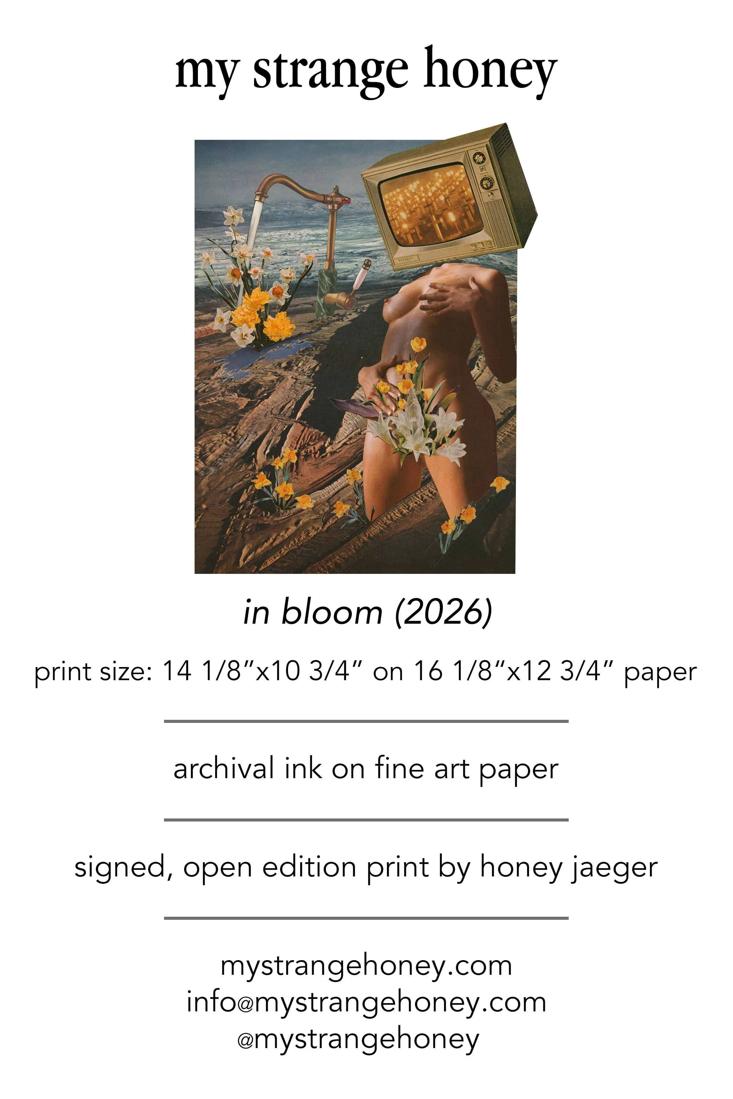 in bloom.jpg