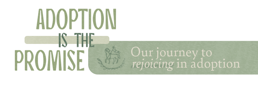 Adoption Is The Promise: Our journey to rejoicing in adoption