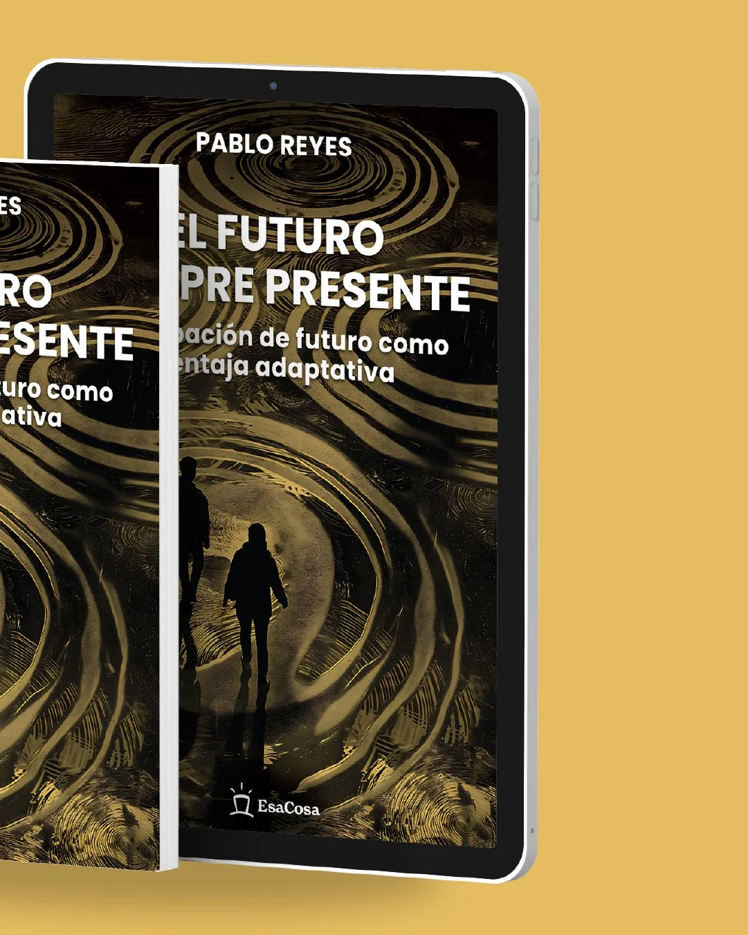 mundo pablo -  desktop - 03-80.jpg