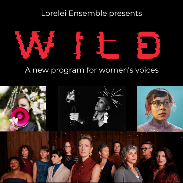 WILD Workshop Performance