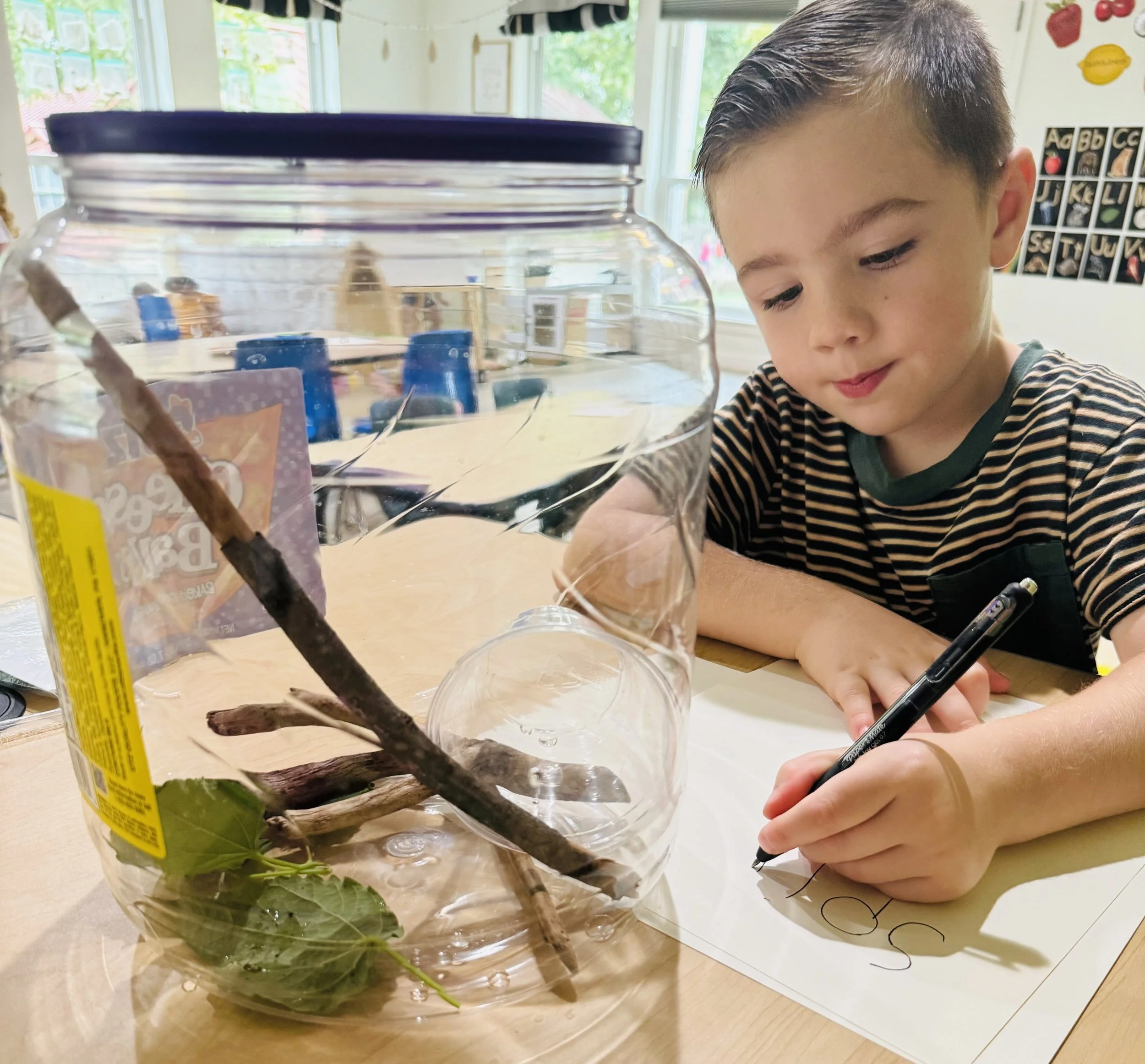 Student Studying Nature in Class