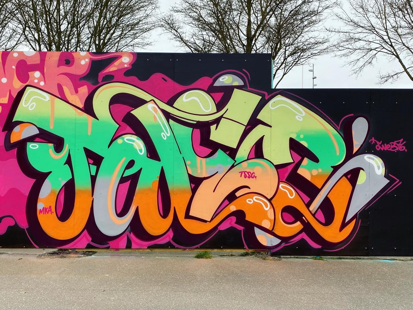 Fridays Sprays &hellip;
Always time well spent with brother Pheo @clicks05 🙏🏼
.
.
.
#Tweb76 #thesouthsidecrew #clickfamily #graffiti #2022 #lyngby #hiphop #dontstop #graffitibloc #keepingitup #denmark