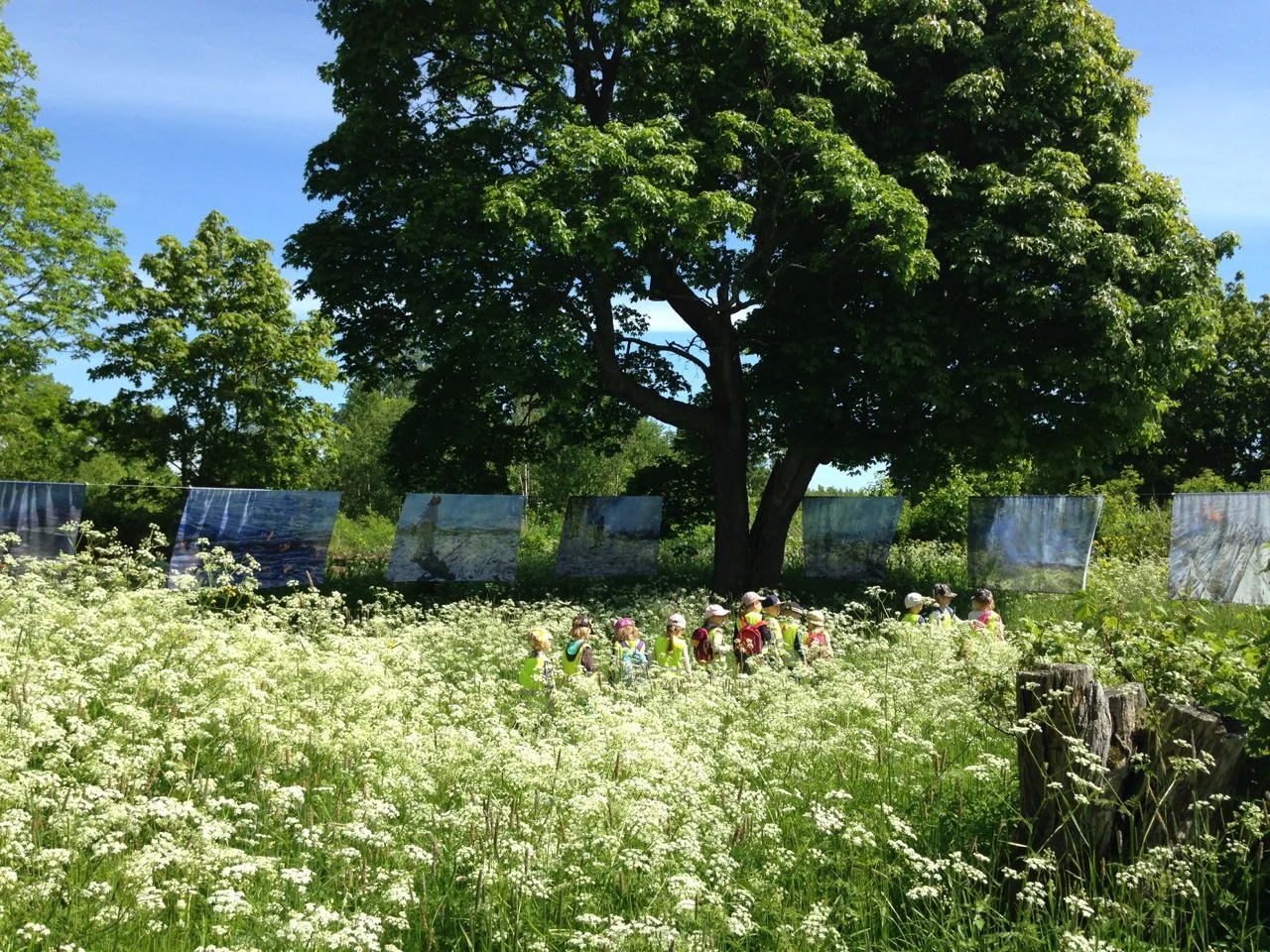 vallisaari:kasken kierto3.jpg