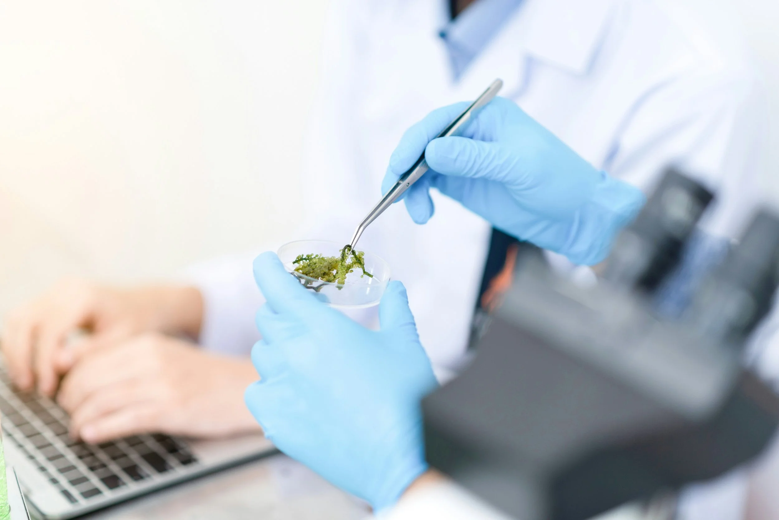 A Texas medical marijuana doctor from Thrive Medical conducting a virtual consultation on the benefits of medical cannabis in Texas under the Texas Compassionate Use Program.