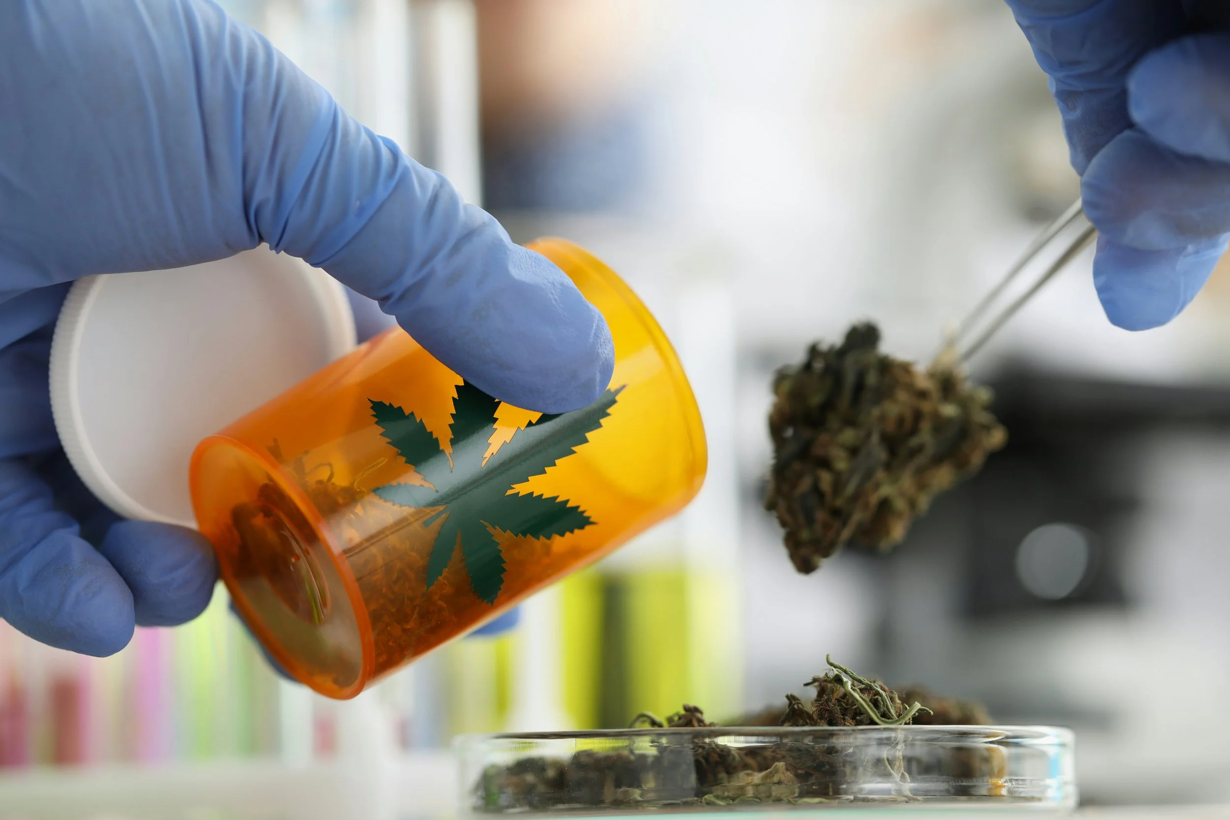 Dr. Lisa Gardner, a leading Texas medical marijuana doctor at Thrive Medical, consulting on medical cannabis treatments to help patients manage chronic pain.
