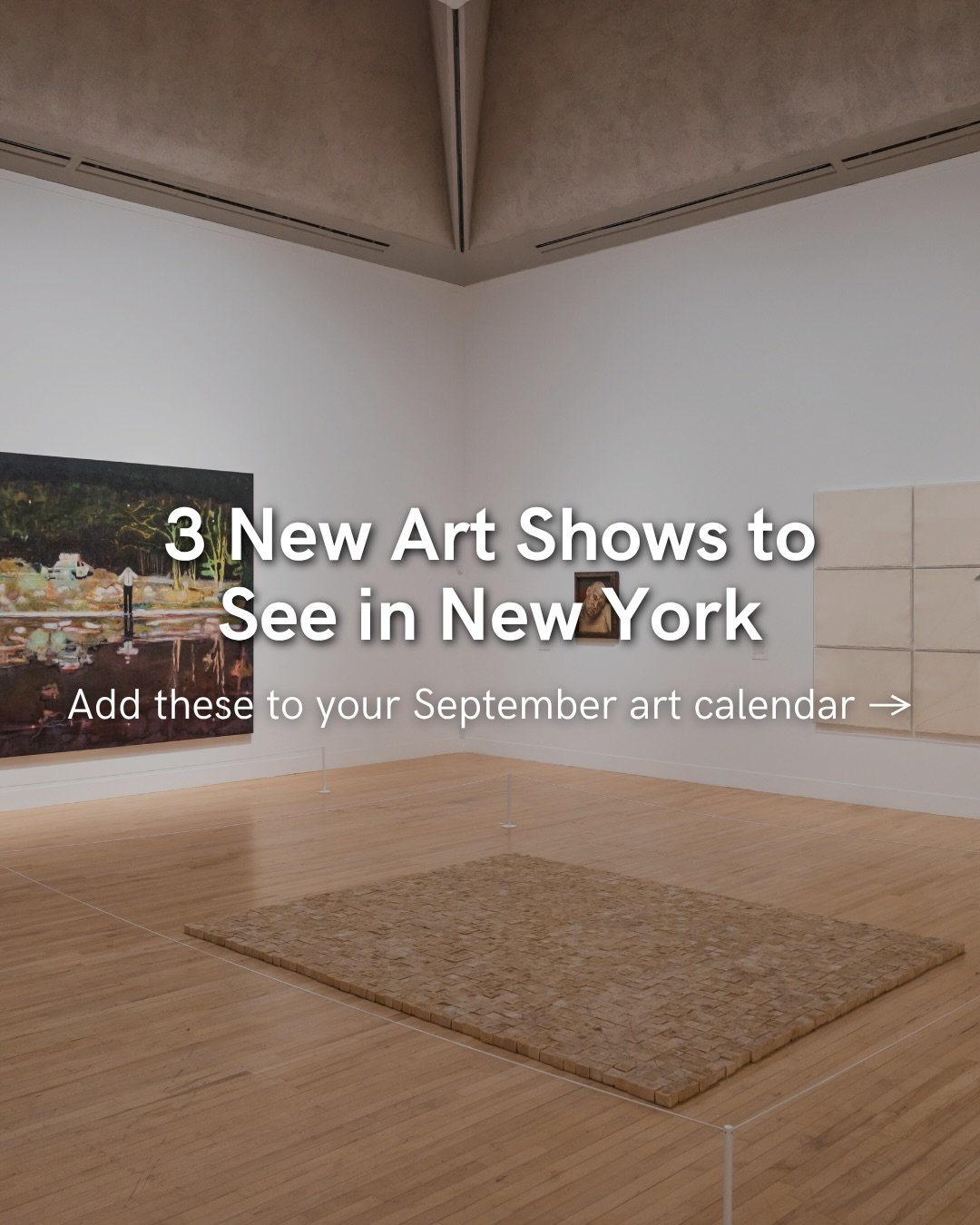 Save this post for your next museum day in NYC!
Three to add to your list:

A King&rsquo;s Carpet: Louis XIV and the Savonnerie at The Met

Taryn Simon: Father Country I Do Love You at the Guggenheim

Taking Back Our Space: Photographic Perspectives 