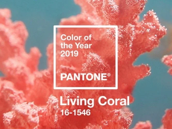 Living in Coral