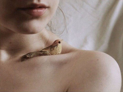 Breaking Beautiful