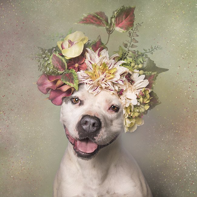 Image Courtesy: Sophia Gamand