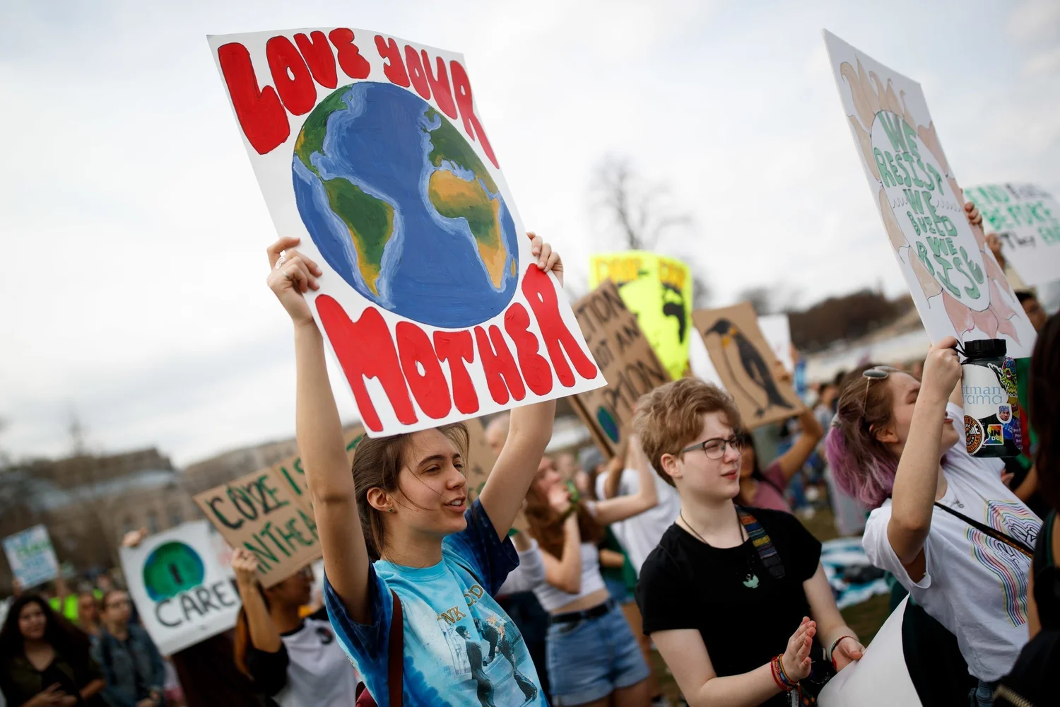 Image Courtesy: The New York Times