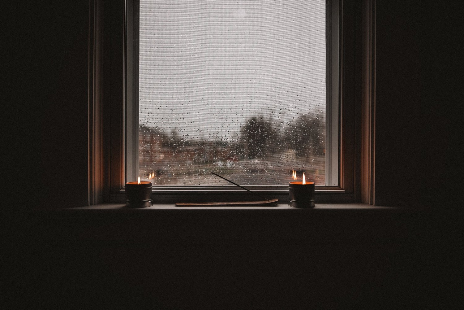 Image Courtesy: Unsplash