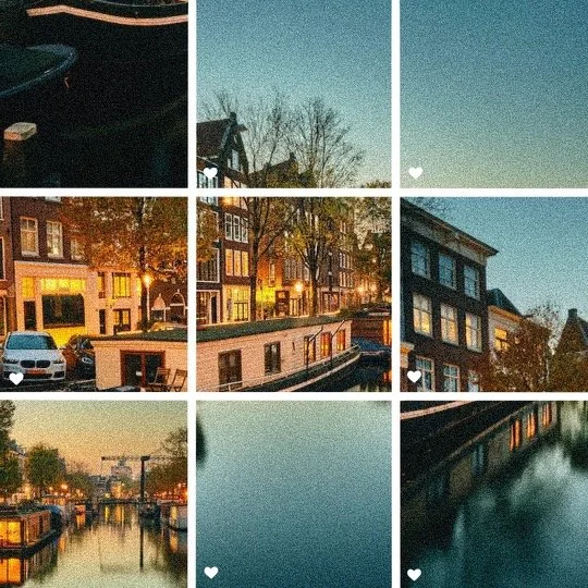 The Duality of Amsterdam
