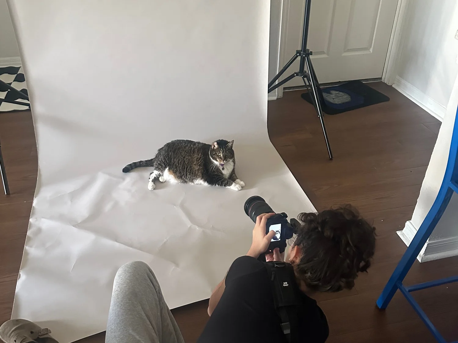 A Girl and Her First Cat