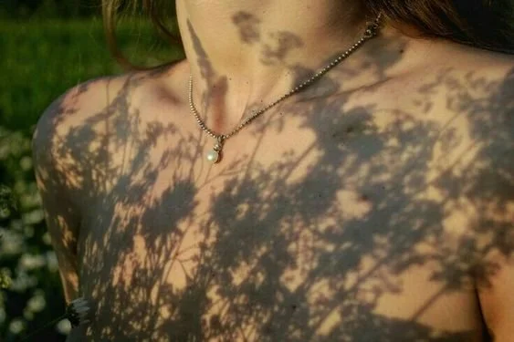 Spring Silhouettes
