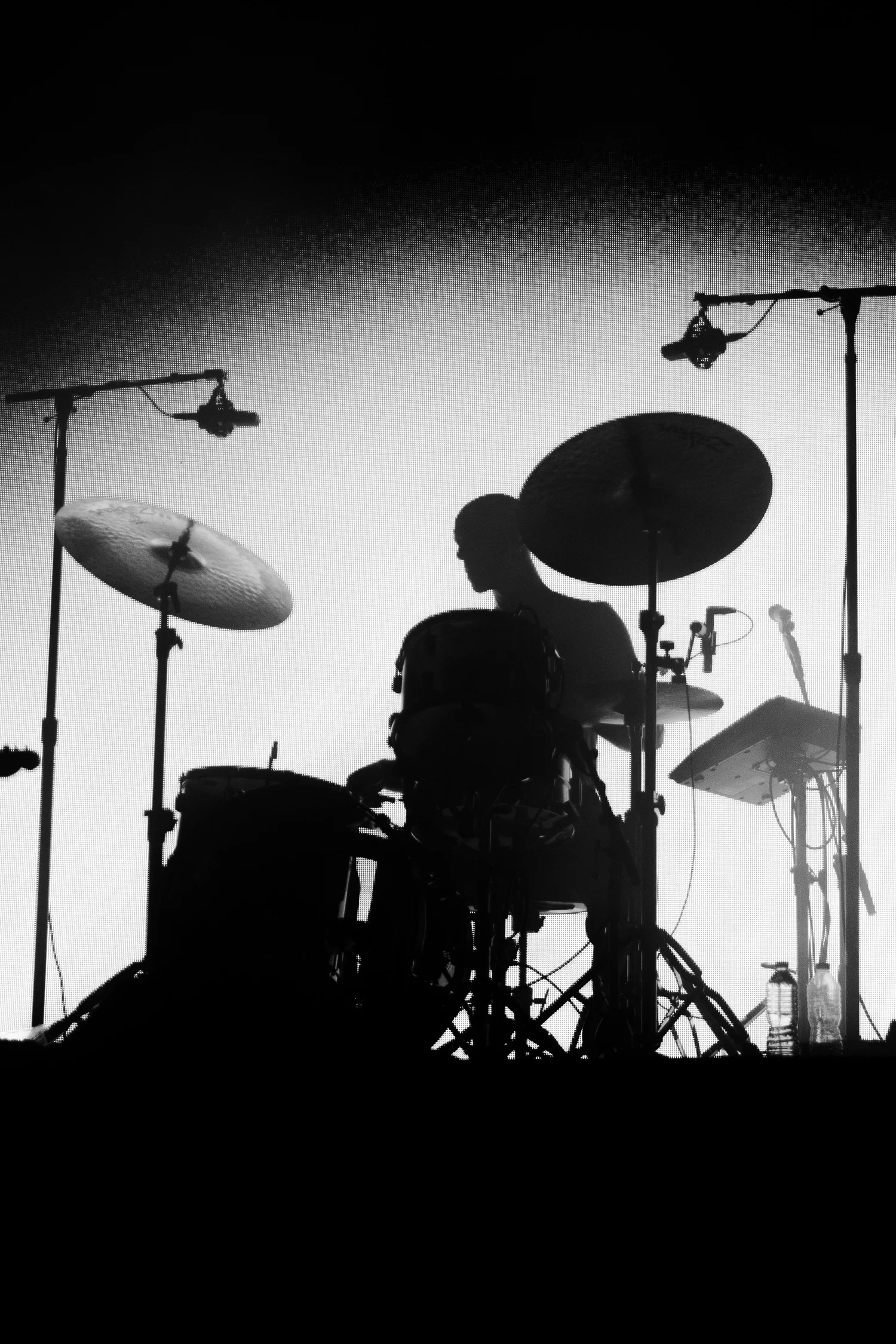 _98A1964-2.jpg