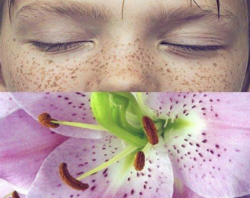 Natural Beauty Is an Illusion