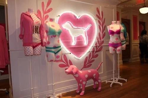 VS PINK: A Girlhood Staple