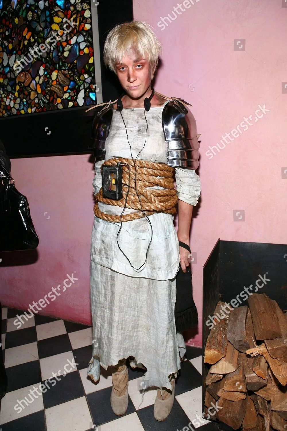 Chloe Sevigny, October 31st, 2007 | Shutterstock