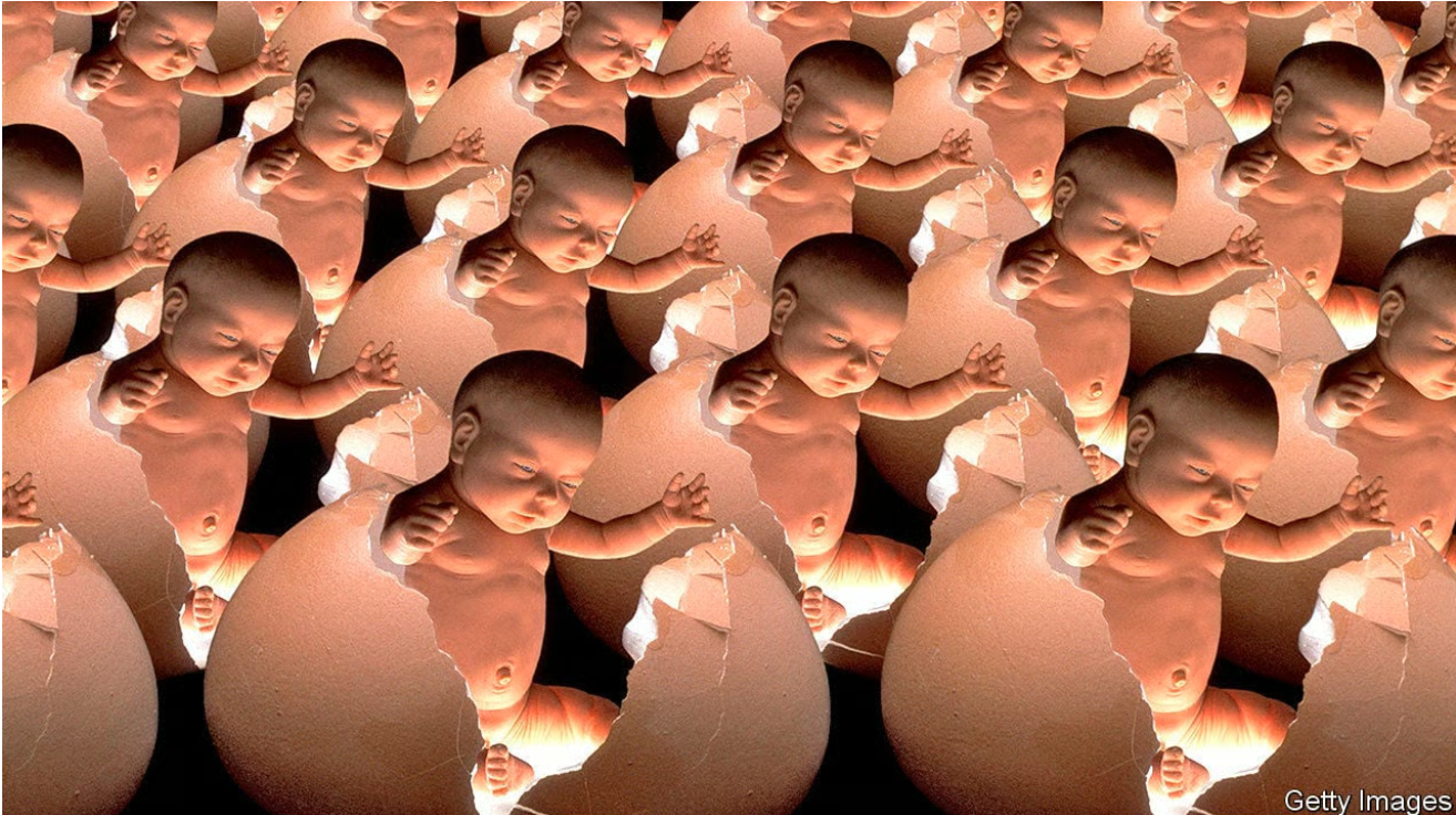 Build-A-Baby!