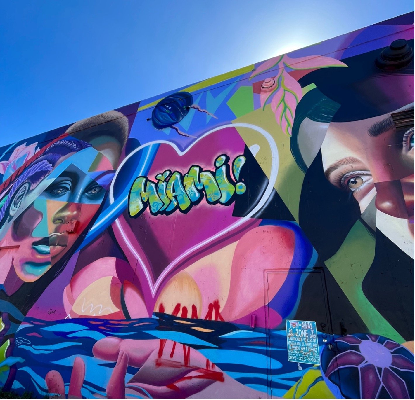 Within The Walls of Miami