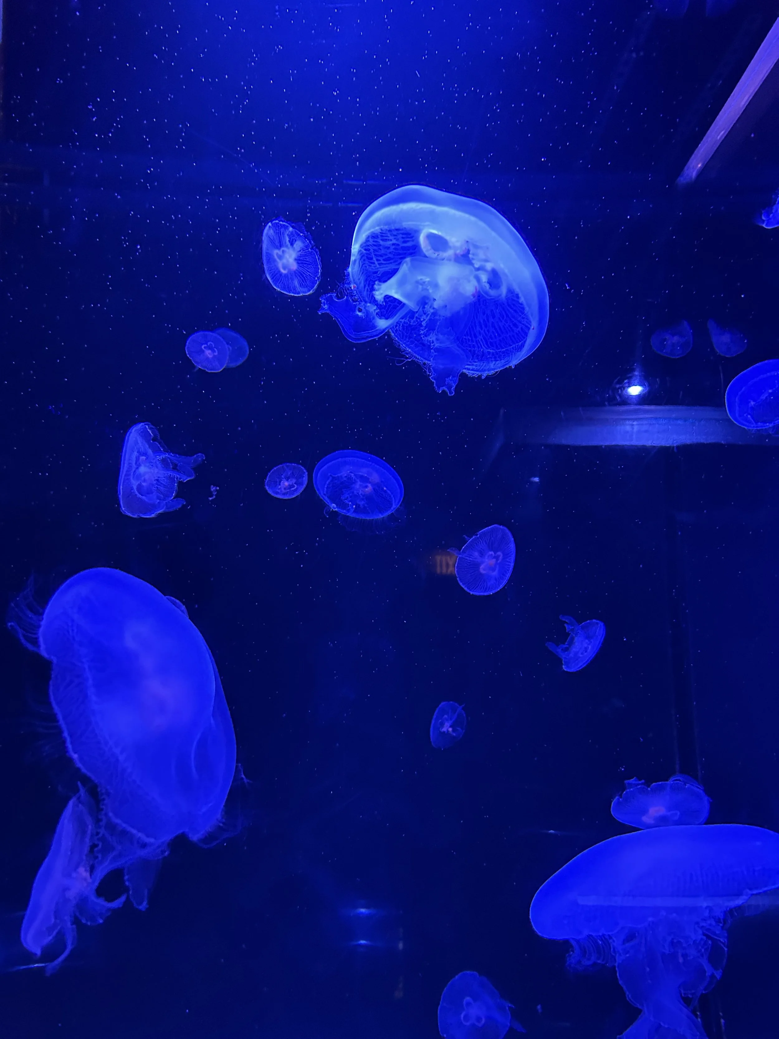 The Illusion of Control