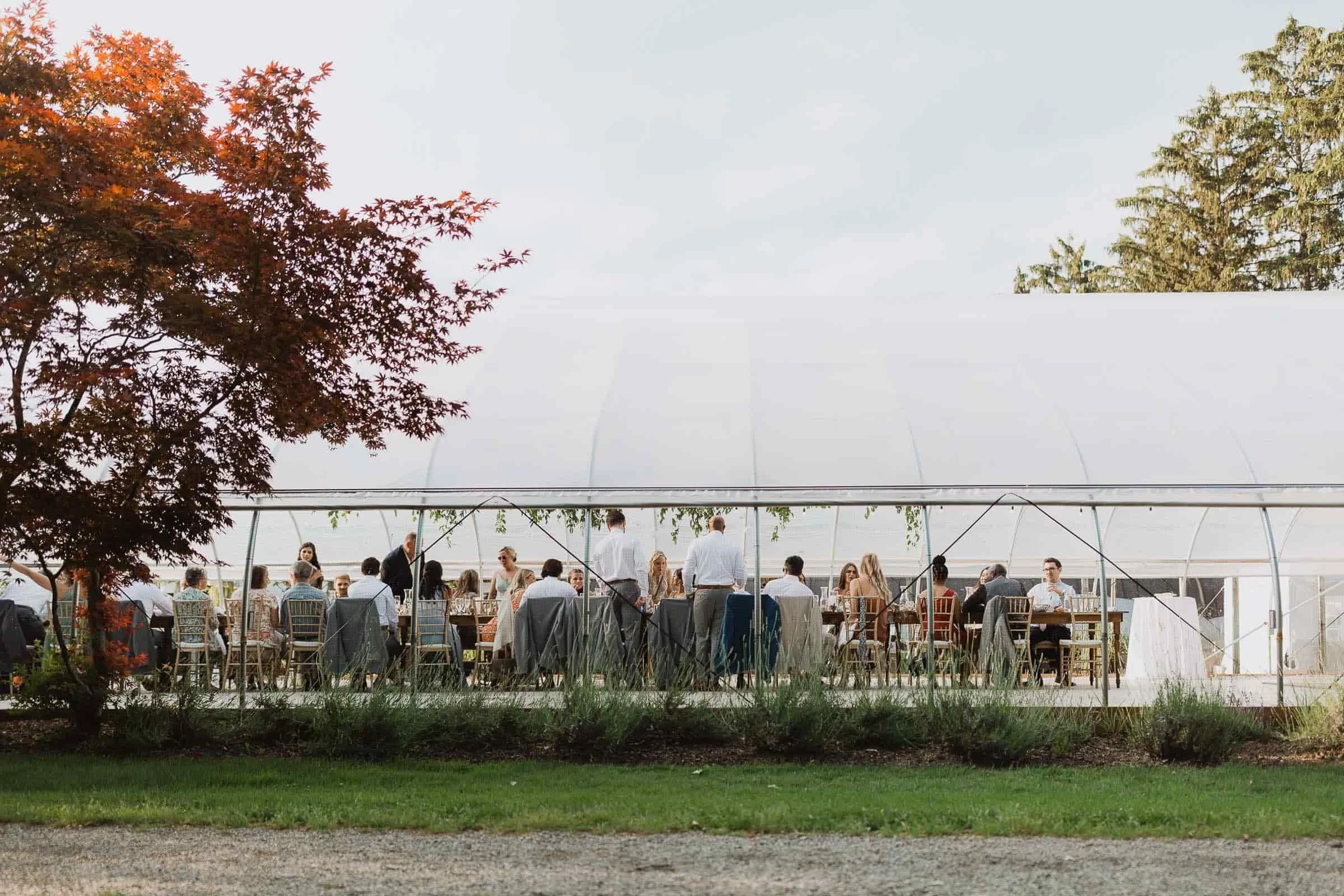 kieleetravisweddingerinhassettphoto-903.kielee+and+travis+westrcroft+gardens+grosse+ile+michigan+wedding+photography_compressed.jpg
