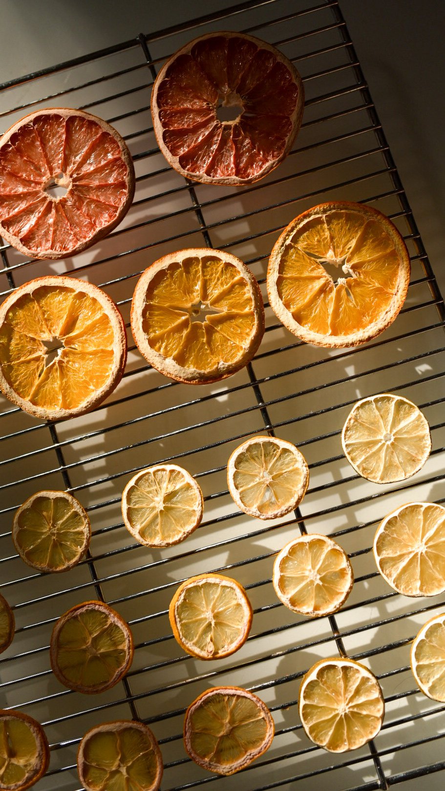 Dehydrated Citrus - Maryland Food Photography