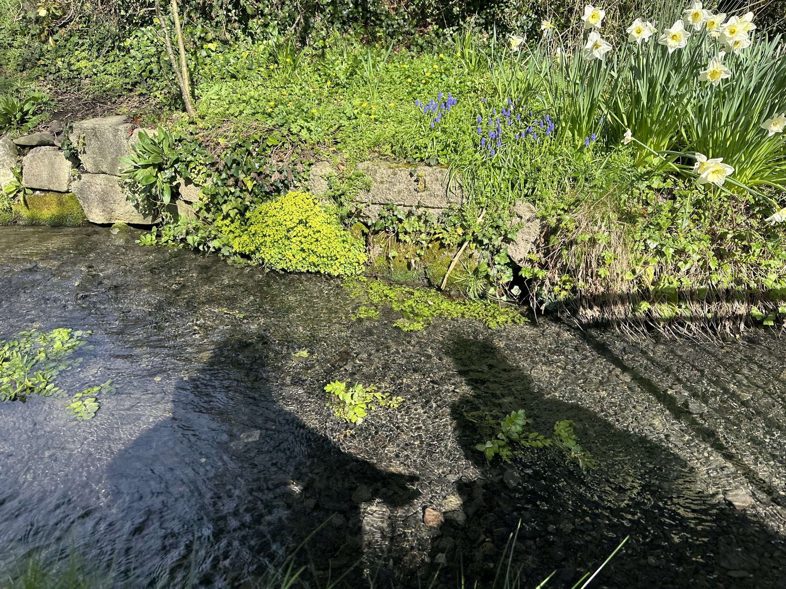 IMG_3360.jpeg