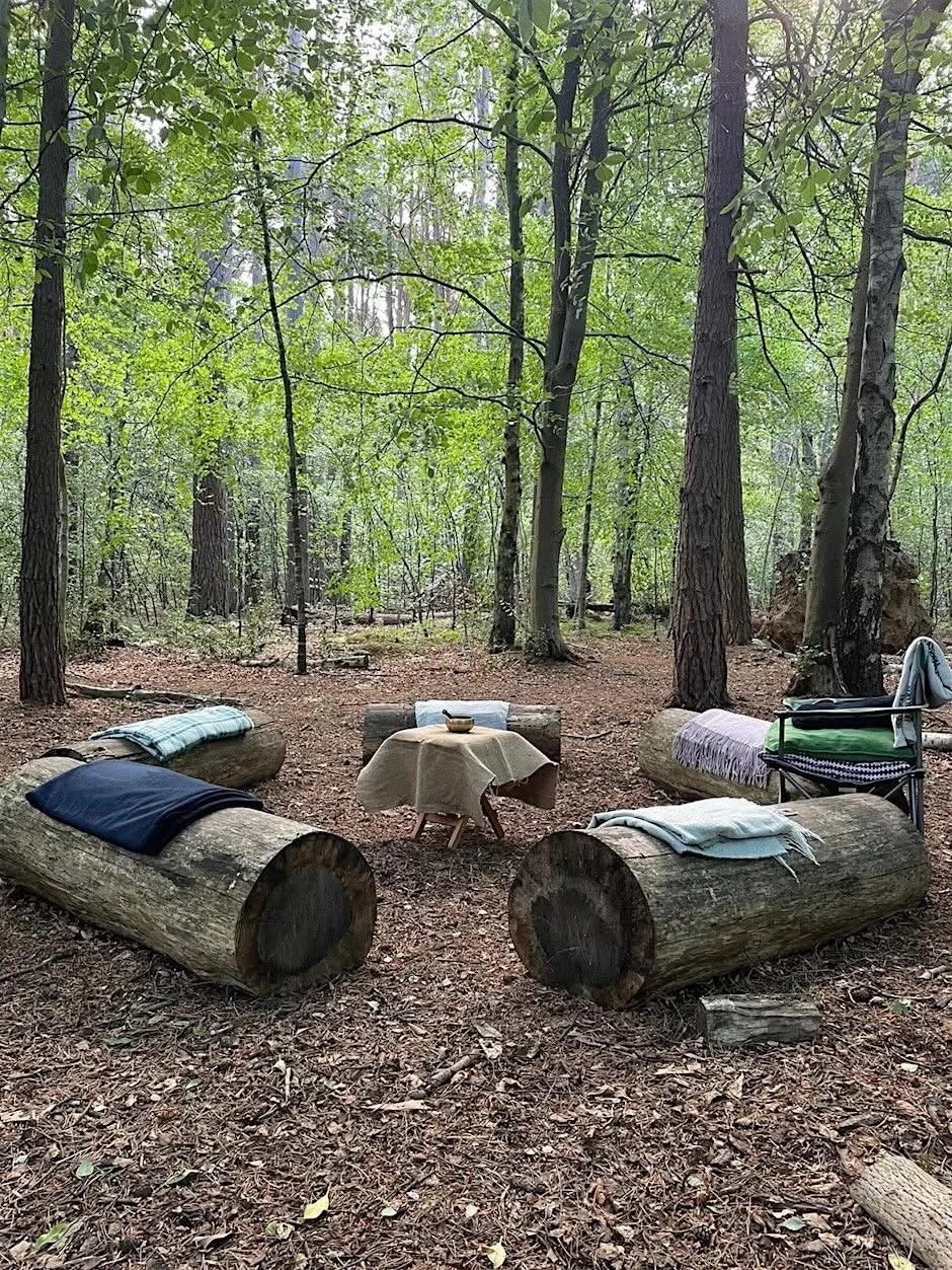 blankforesttherapy.jpg