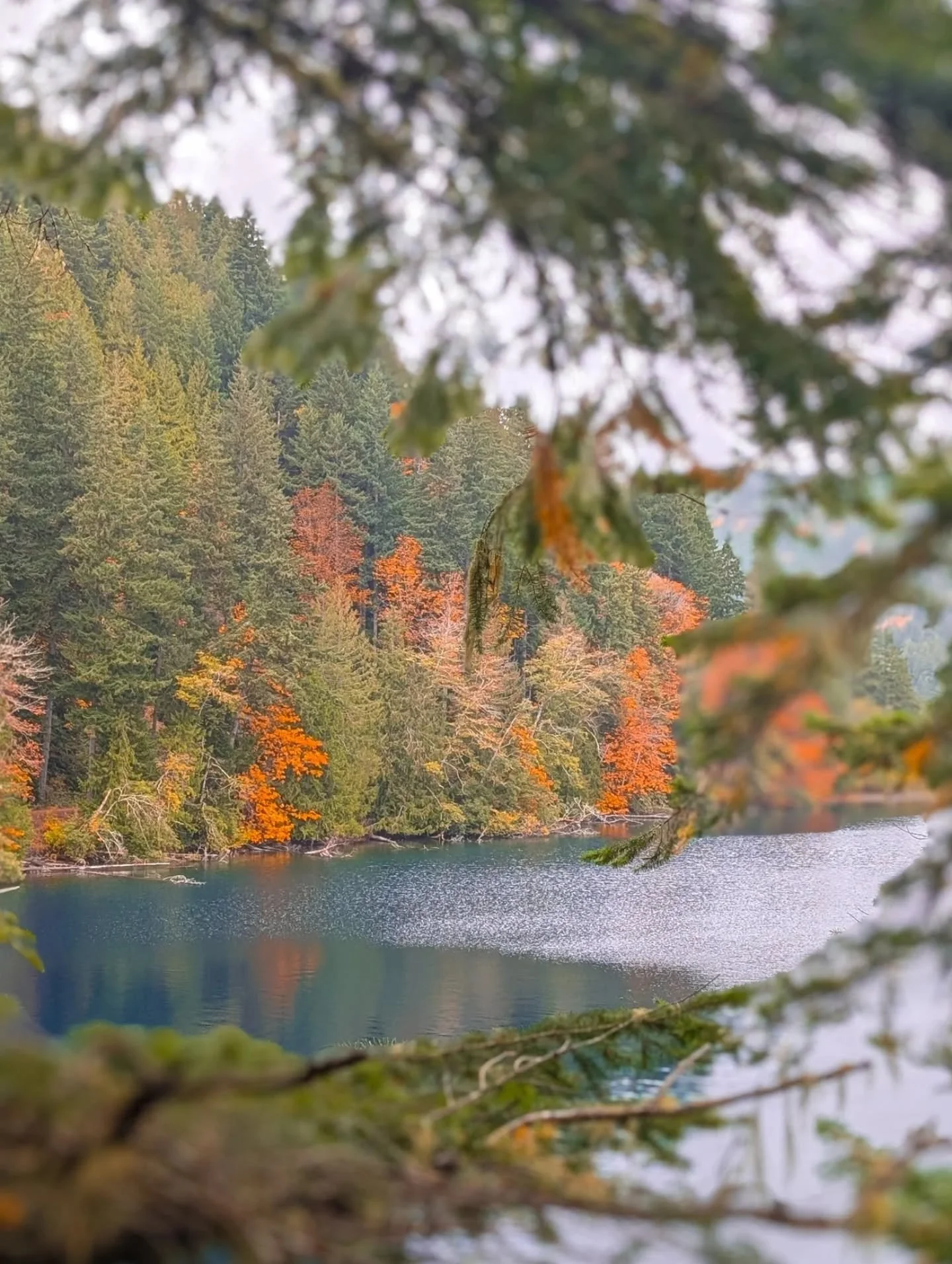 A couple days in the PNW mountains 

Olympic National Park 
Devil's Punchbowl
Marymere Falls
Multnomah Falls
St. Helens, Oregon (Halloweentown)