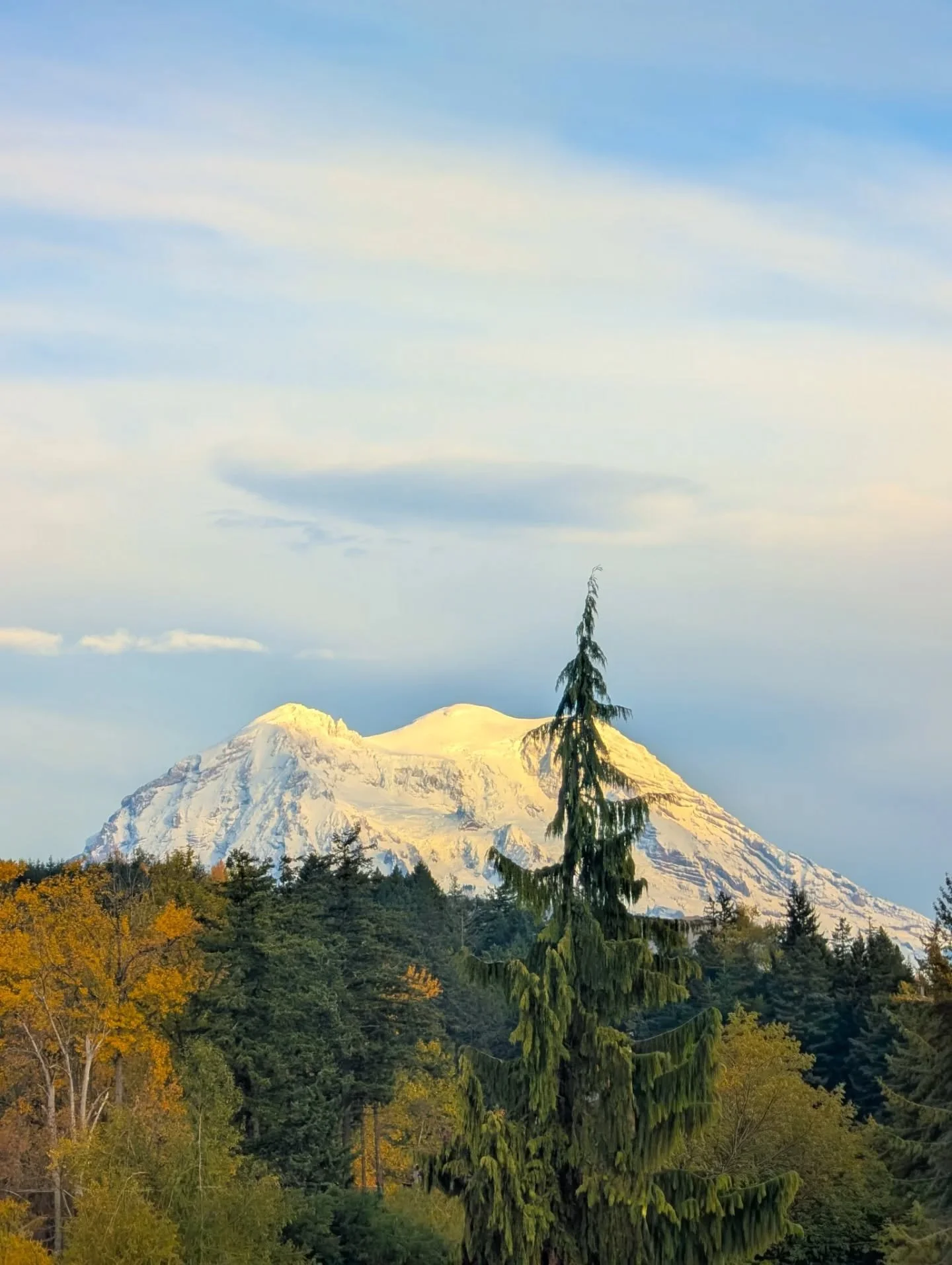 Mount Rainier deserves it's on spot on the feed 🏔️