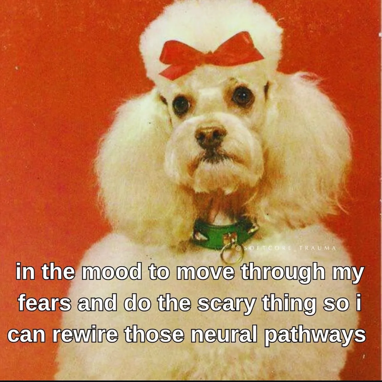 Credit to @softcore_trauma 
#mentalhealthawareness #mentalhealthmatters #mentalhealthrecovery
#endthestigma #mindfulness #personalgrowth
#daringgreatly #selfcarematters #anxietyawareness #emotionalwellbeing
#mentalhealthadvocate #itsokaytonotbeokay