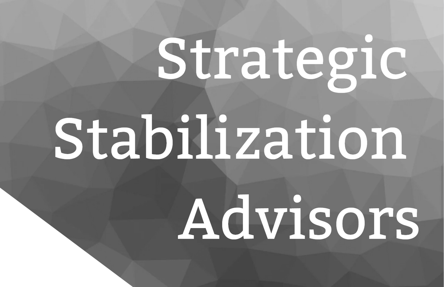 Strategic Stabilization Advisors