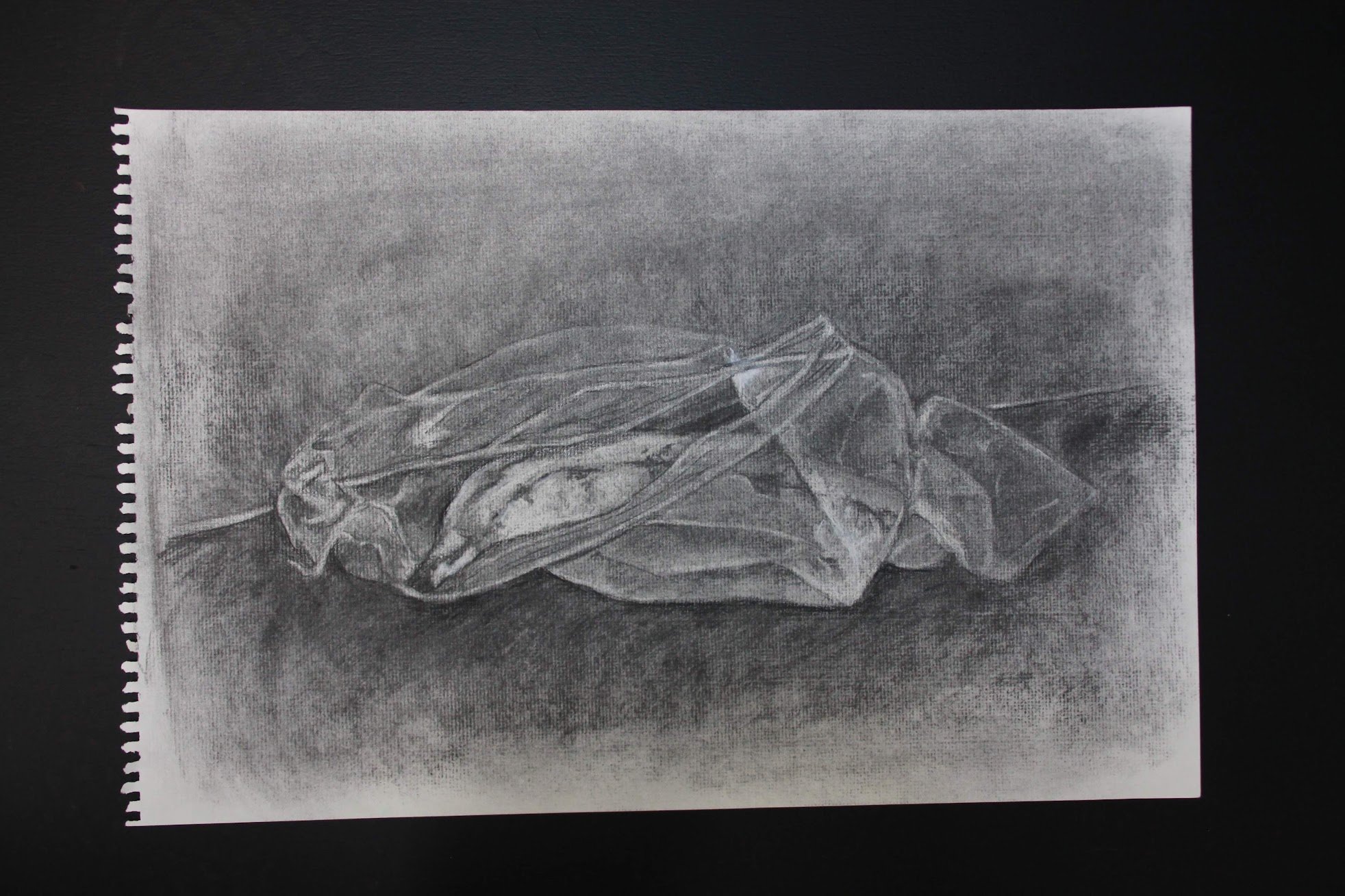 Charcoal on Paper
30x45 cm
"Banana in Ziploc"