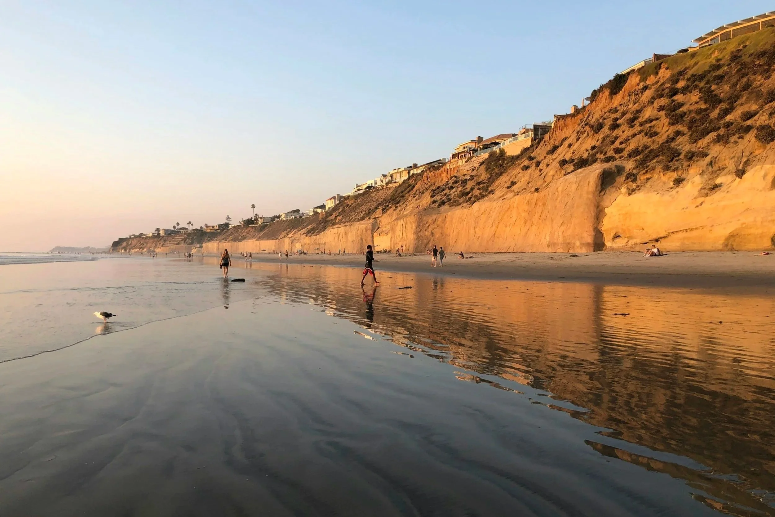 Solana Beach neighborhood guide — best spots curated by San Diego luxury Realtor Mara Mehdy