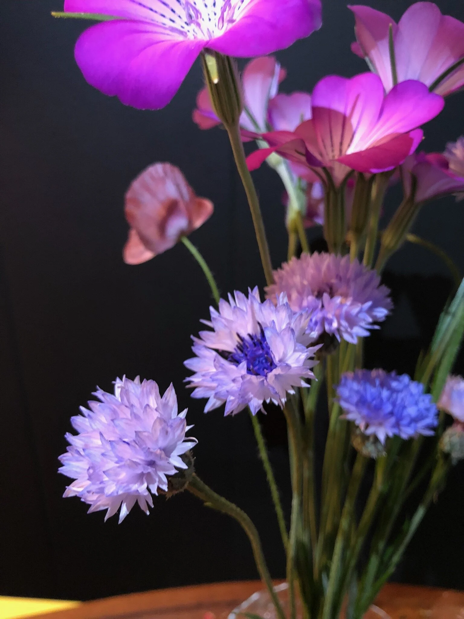 Shop — fairy meadow flowers