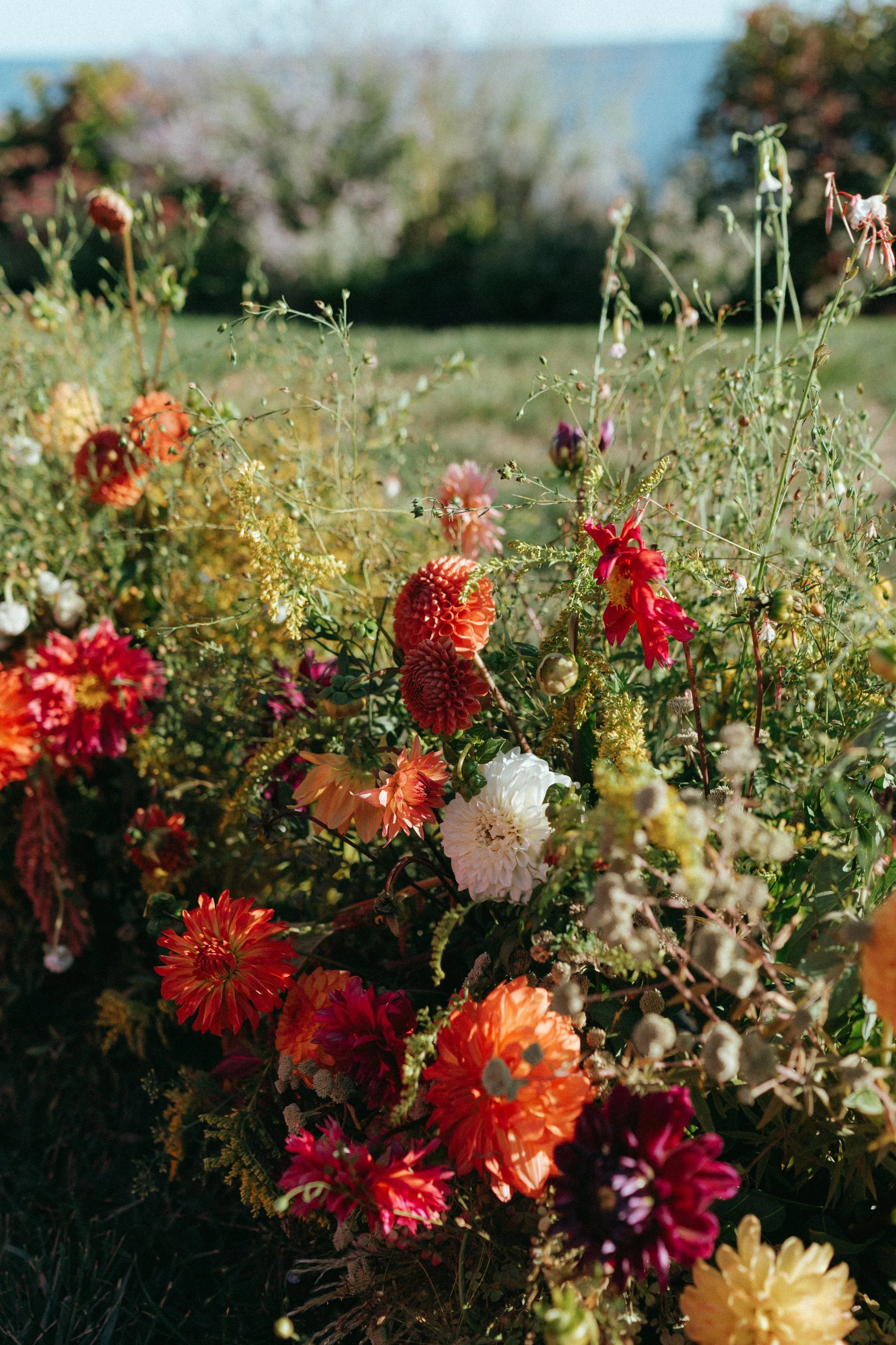 Daphne + Kaela-157.jpg