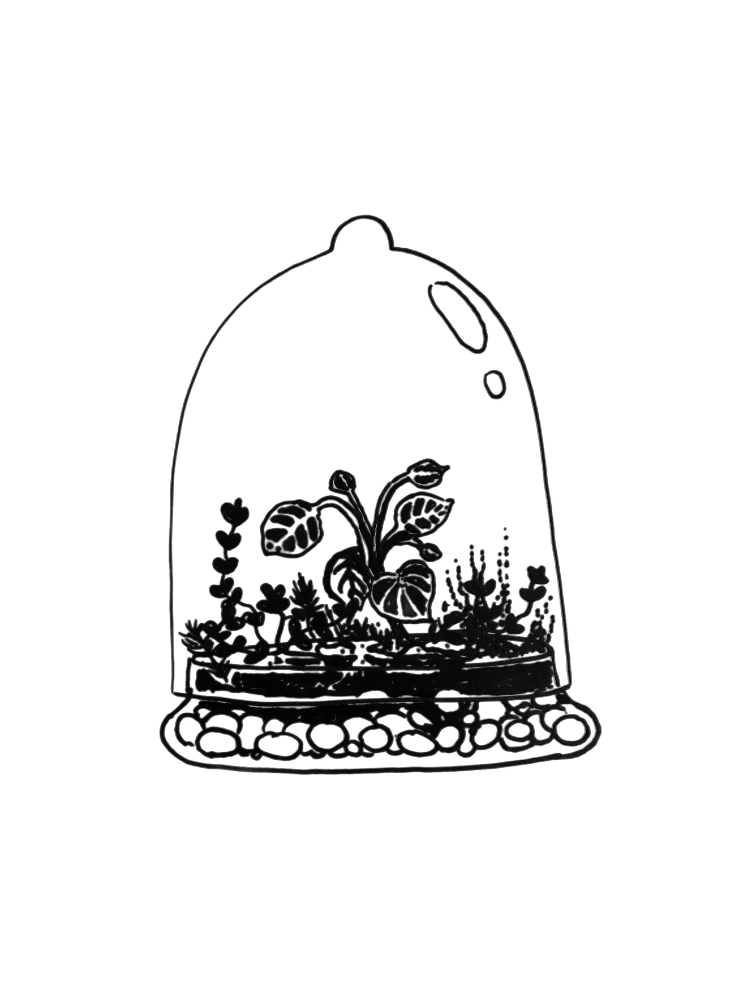 2/11 terrarium workshop