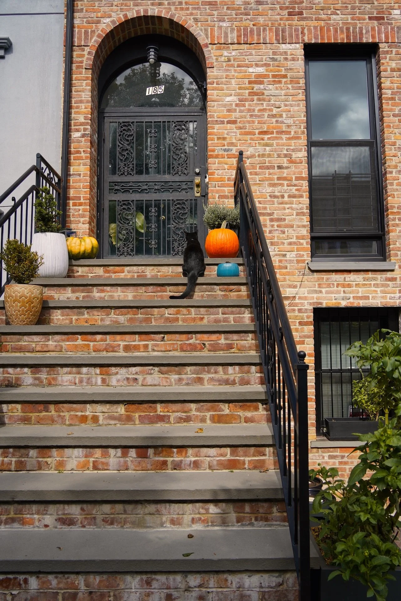 Brick front porch with steps, black wrought iron railing, potted plants, pumpkins, and a black cat sitting near the door. The door has wrought iron details, with house number 185 above, and a large window with black frame.
