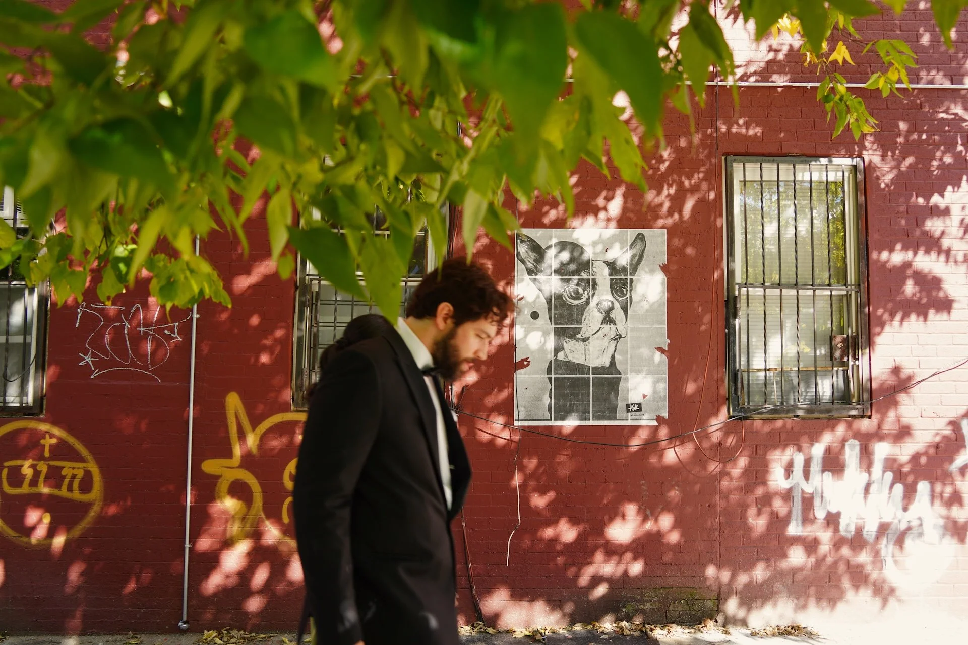 A man in a black suit walking past a red brick building with windows secured by metal bars, a black-and-white collage of a dog's face on the wall, and graffiti. Sunlight and leaves cast shadows on the scene.