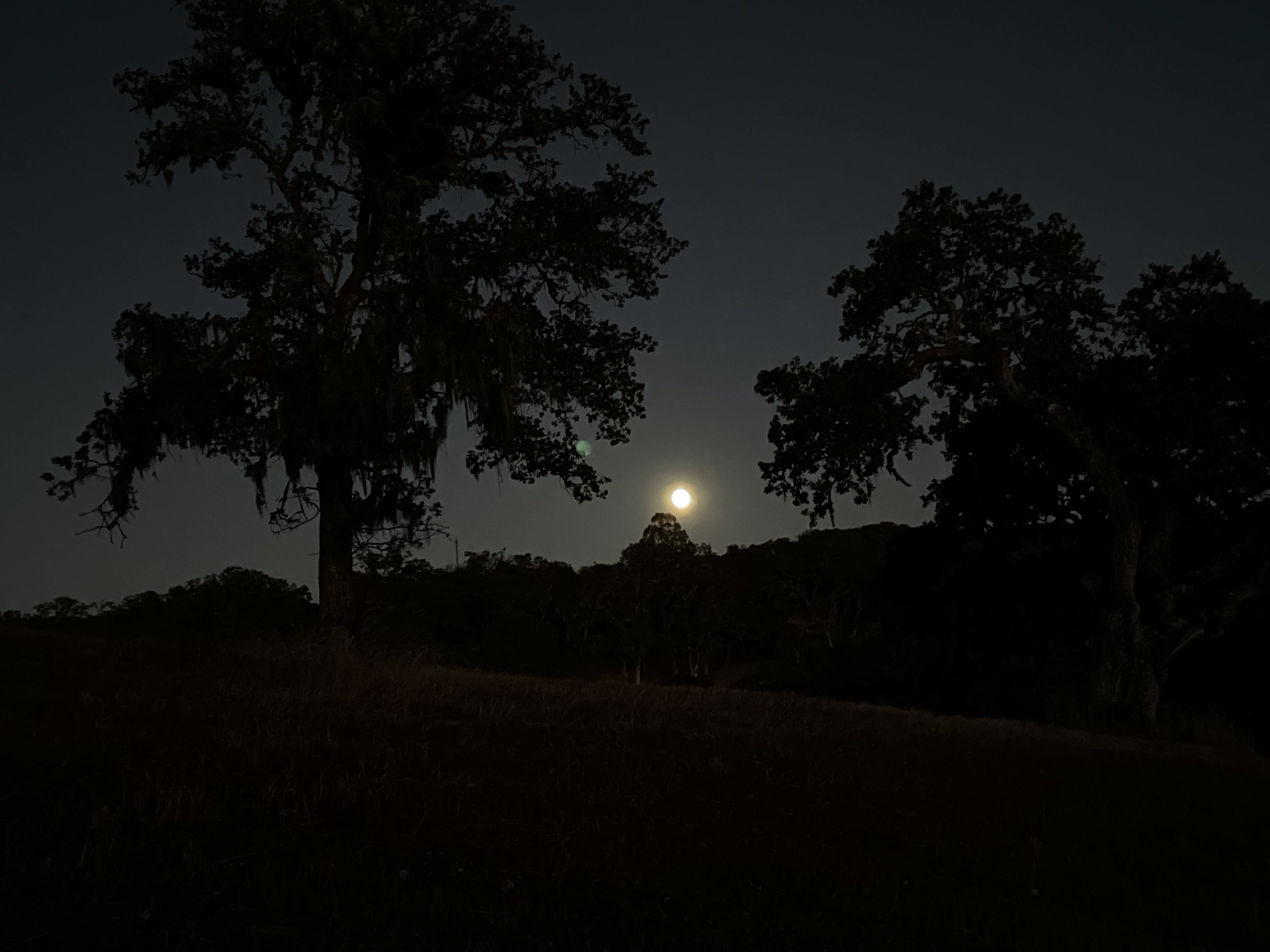 September 10th — Harvest Full Moon Embodiment Retreat