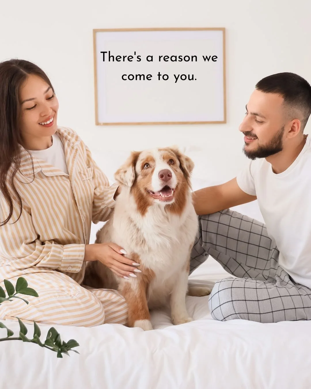 There's a reason we come to you.

#MeaningfulGoodbye #inhomevetcare #InHomeVet #PetLoss #grief #vancouver