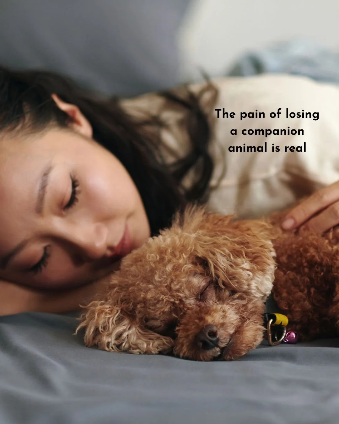 The pain of losing a companion animal is real, valid, and deserves the same space we give to any loss.  #MeaningfulGoodbye #inhomevetcare #InHomeVet #PetLoss #grief #vancouver