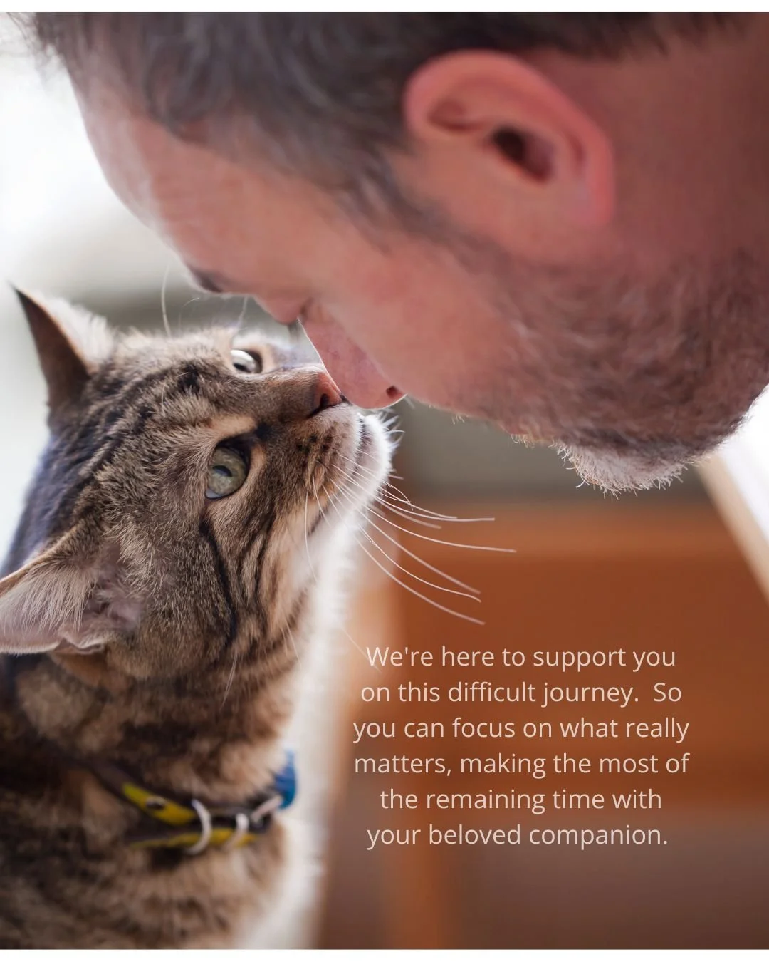 Whether your companion is entering the final chapter of life due to illness, disability or age, the end-of-life period is one of the most challenging times in our companion animal's life. It's also a challenging time for you. 

We're here to support 