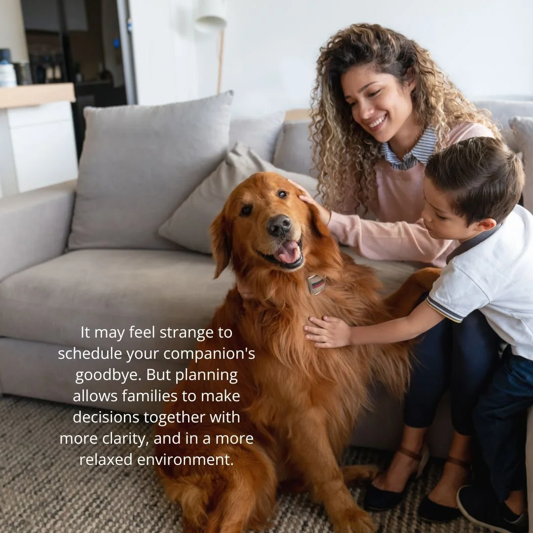 Families often ask us how they&rsquo;ll know when it&rsquo;s time to start planning.

In most cases, they&rsquo;ve already been speaking with their family veterinarian and are beginning to sense that their companion&rsquo;s quality of life is changin