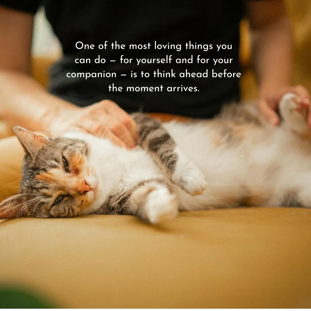 One of the most loving things you can do &mdash; for yourself and for your companion &mdash; is to think ahead before the moment arrives. 

When the time comes, the last thing you want is to be searching, deciding, comparing. Planning ahead means tha