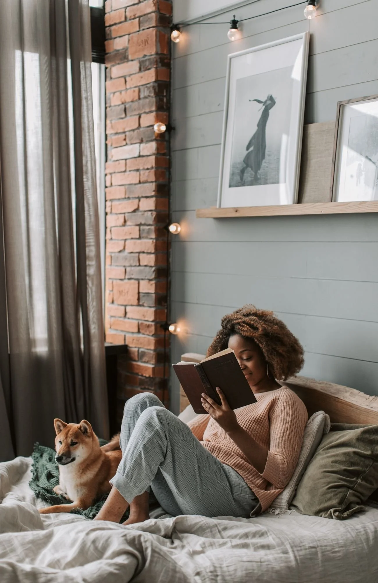A person reading about in-home pet euthanasia in Vancouver