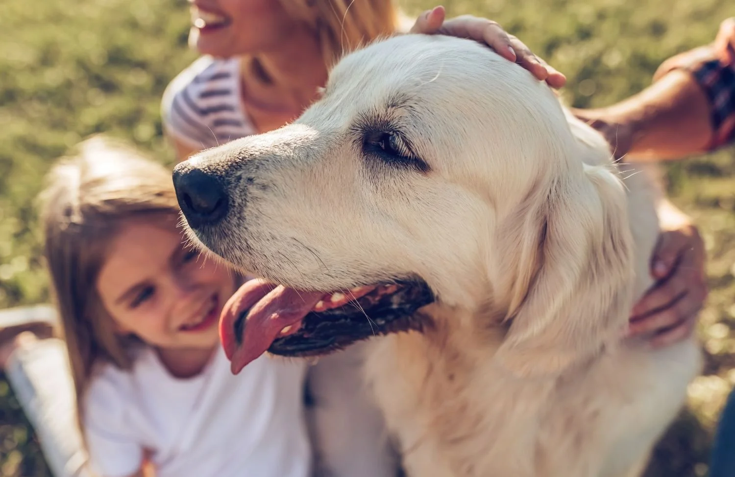 A family preparing to say goodbye to their dog using humane, in-home pet euthanasia in Vancouver